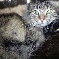 Thumbnail photo of Clark #2