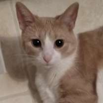 Thumbnail photo of Kiki C1352 #1