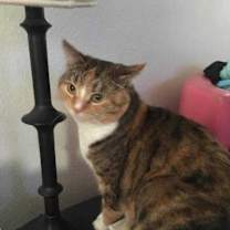 Thumbnail photo of Sassi #1