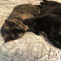 Thumbnail photo of Millie #2