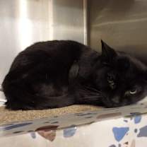 Thumbnail photo of Clark #3