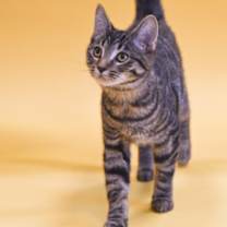 Thumbnail photo of Naomi #2