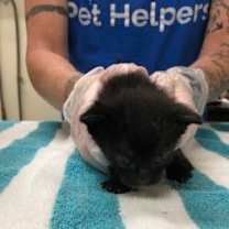 Thumbnail photo of Gigi #2