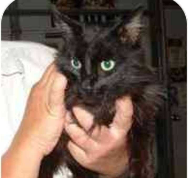 Photo of Win the Lotto