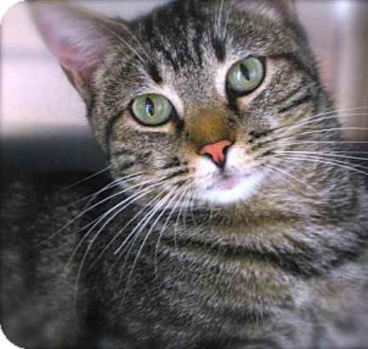 Photo of Maggie May (9505)