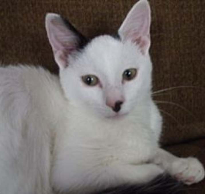 Photo of Roger Remembered...............