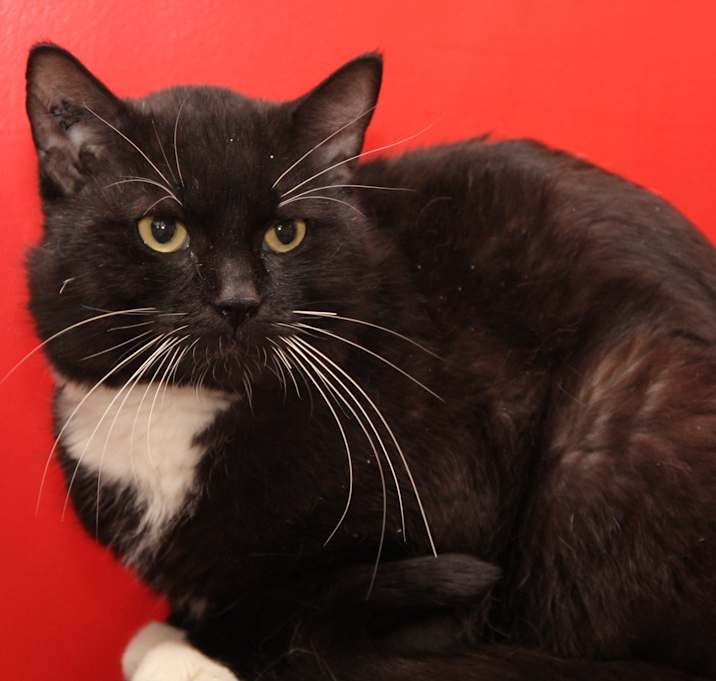 Photo of Jimmy Junior