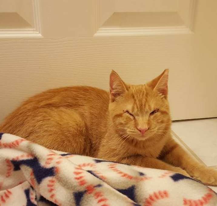 Photo of Charlie (barn)