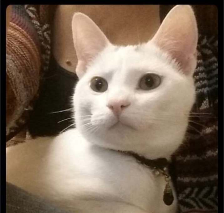 Photo of Coral - Foster / 2015