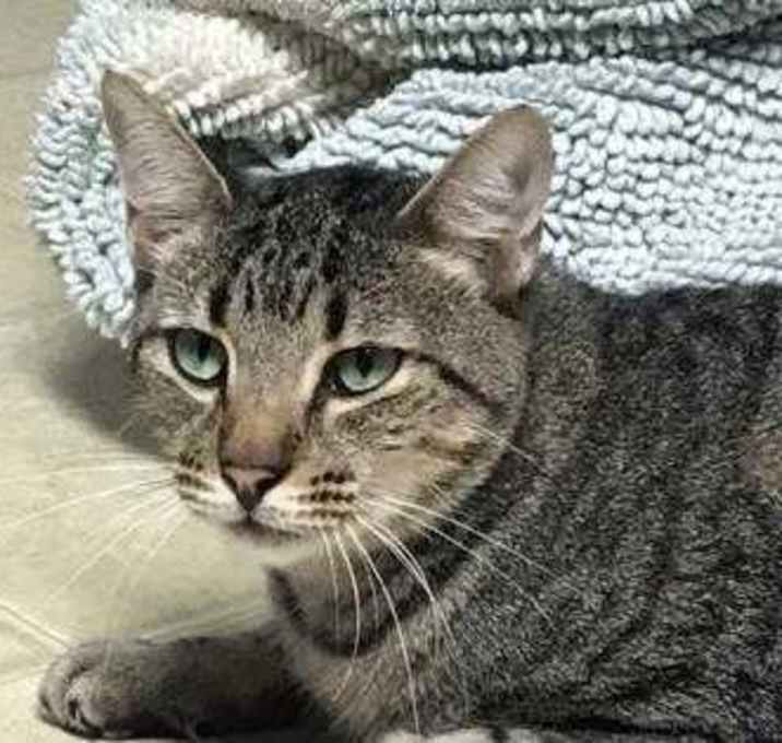 Photo of Barnie 01-25-14