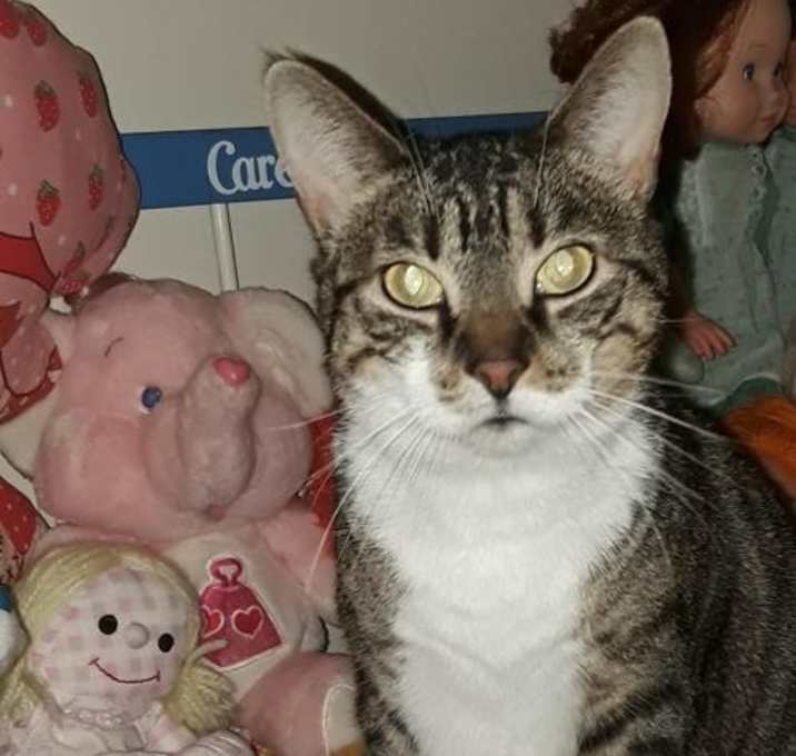 Photo of Geraldine Undercover Snuggler