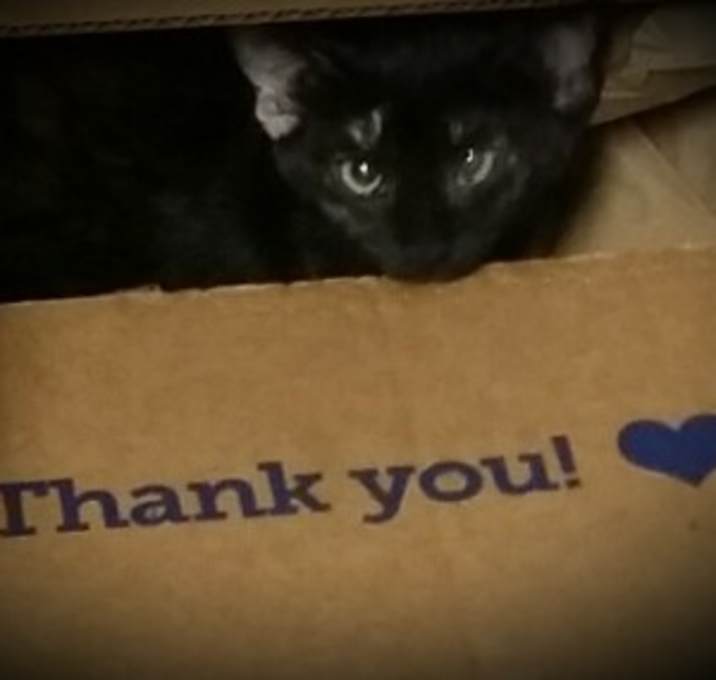 Photo of Baby Kallie