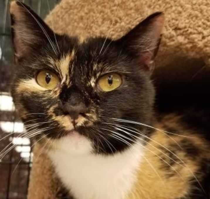 Photo of Mila *video*