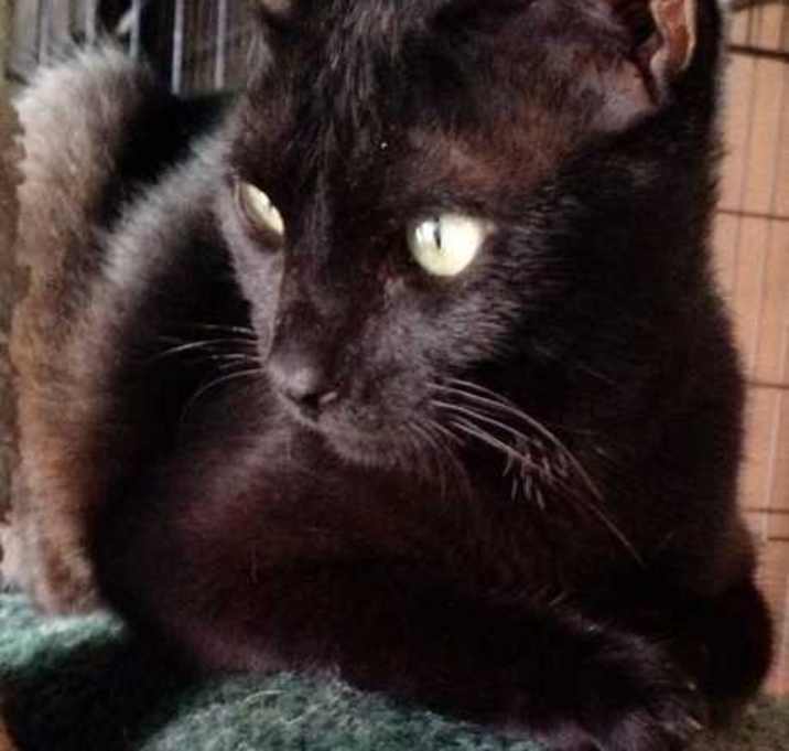 Photo of Benson Burgard