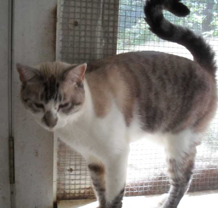 Photo of Bonnie Bon Jovi