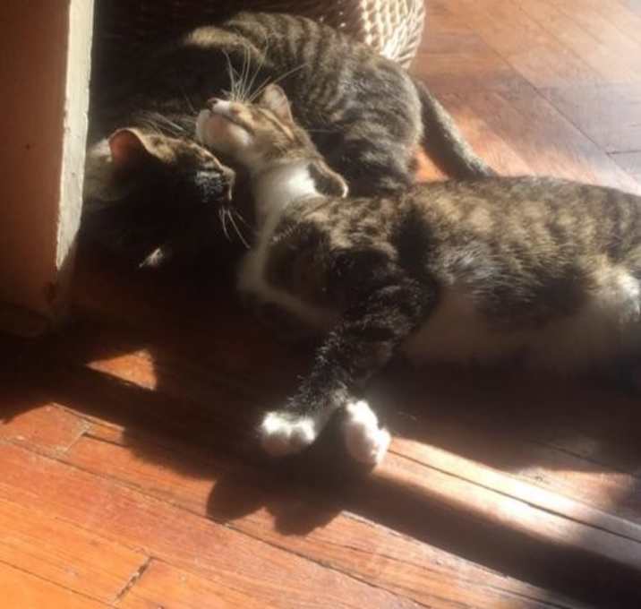 Photo of Charlie & Felix