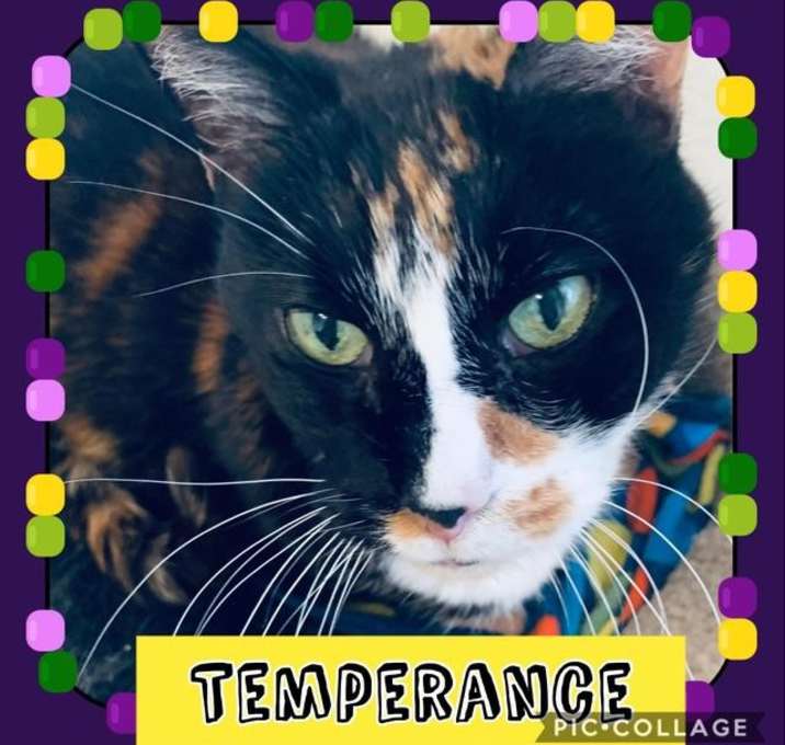 Photo of Temperance