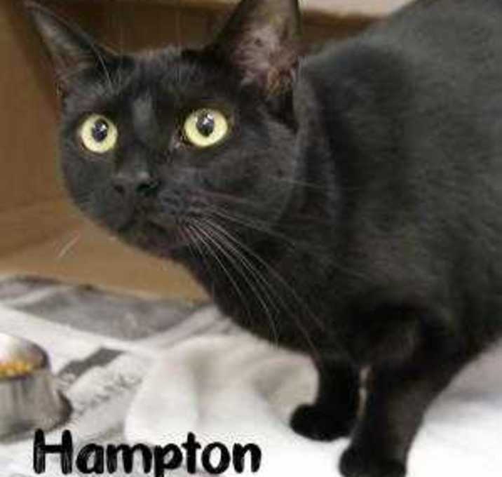 Photo of Hampton