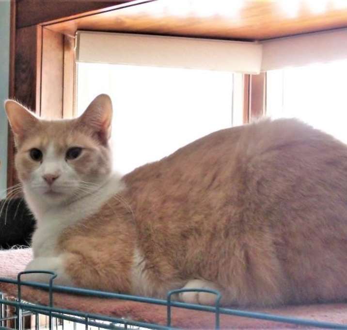 Photo of Prince Harry