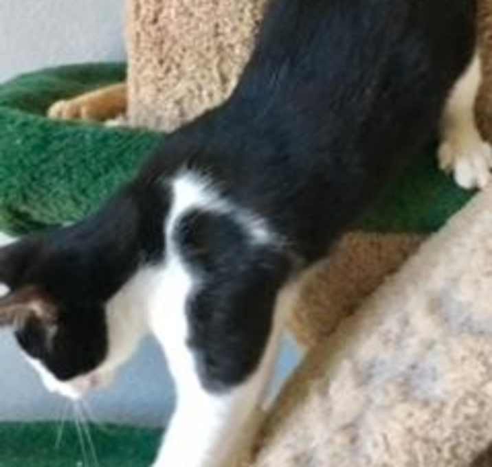 Photo of Preacher (special needs)