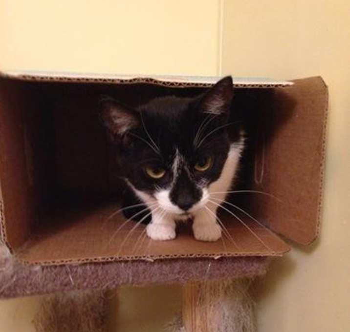 Photo of Jersey Girl