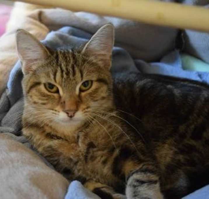 Photo of Jessica Rabbit