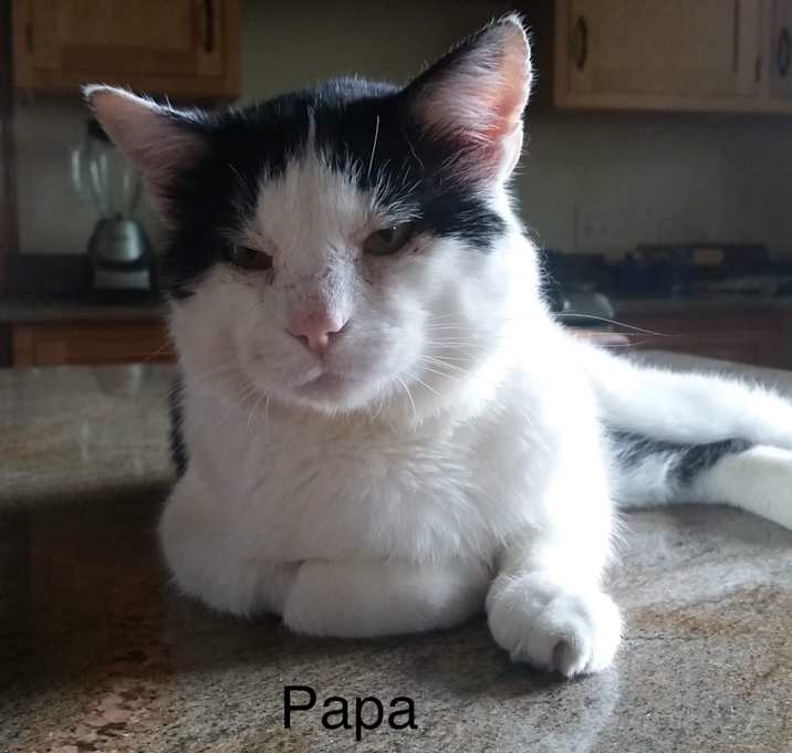 Photo of Papa