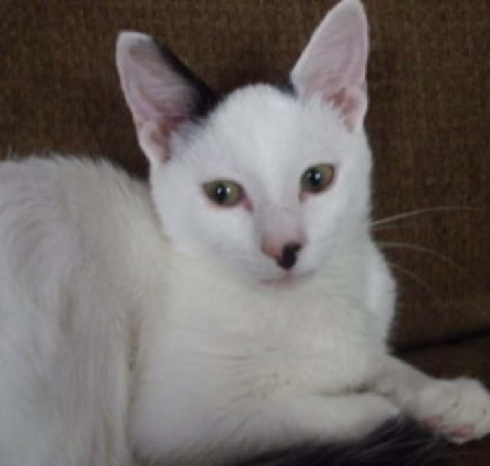 Photo of Roger Remembered...............