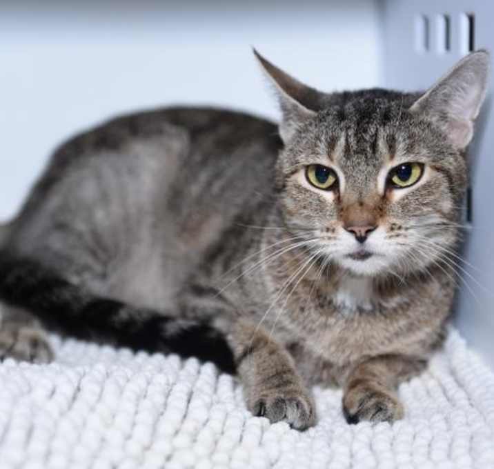 Photo of Karla Kastle