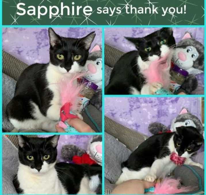 Photo of Sapphire
