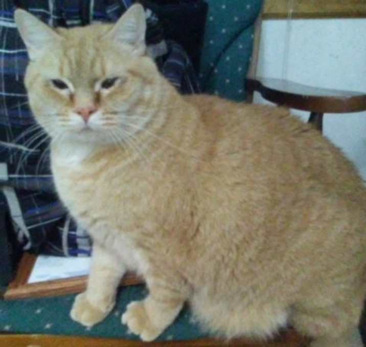 Photo of Courtesy Posting: Zumi