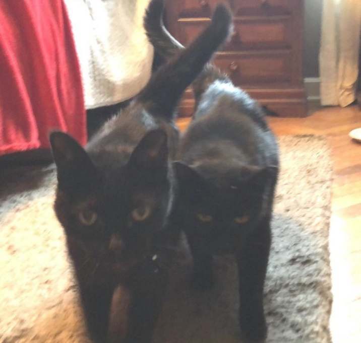 Photo of Bridget & Artie