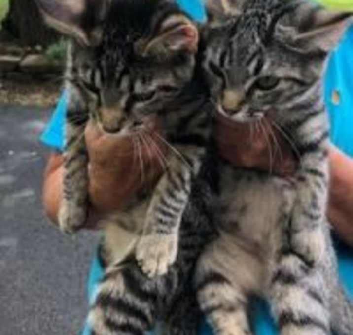 Photo of Ben and Jerry