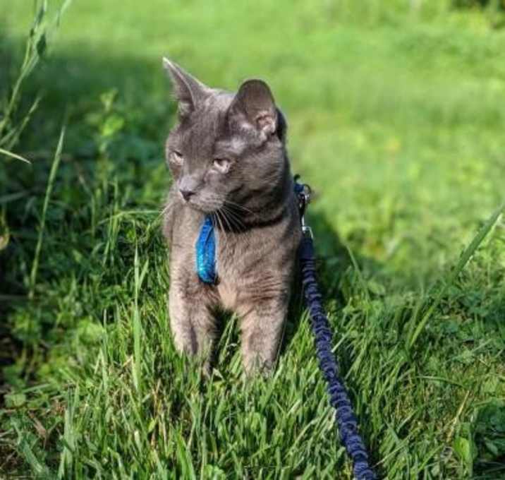 Photo of Trapper John