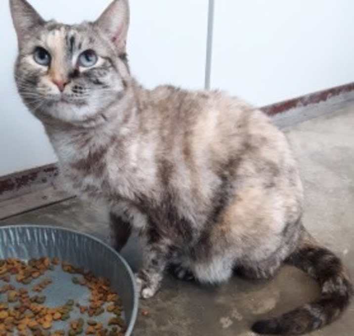 Photo of Little Pearl