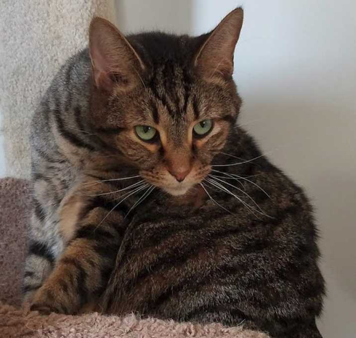 Photo of Hocus Pocus