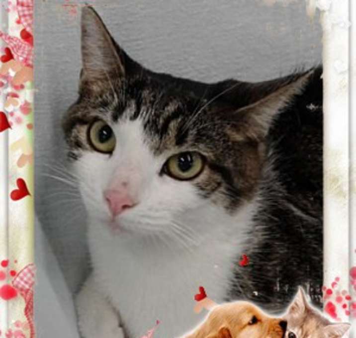 Photo of Margo Elizabeth