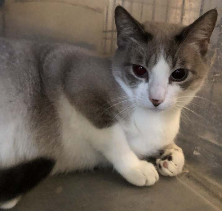 Photo of Mia (Mama Mia)