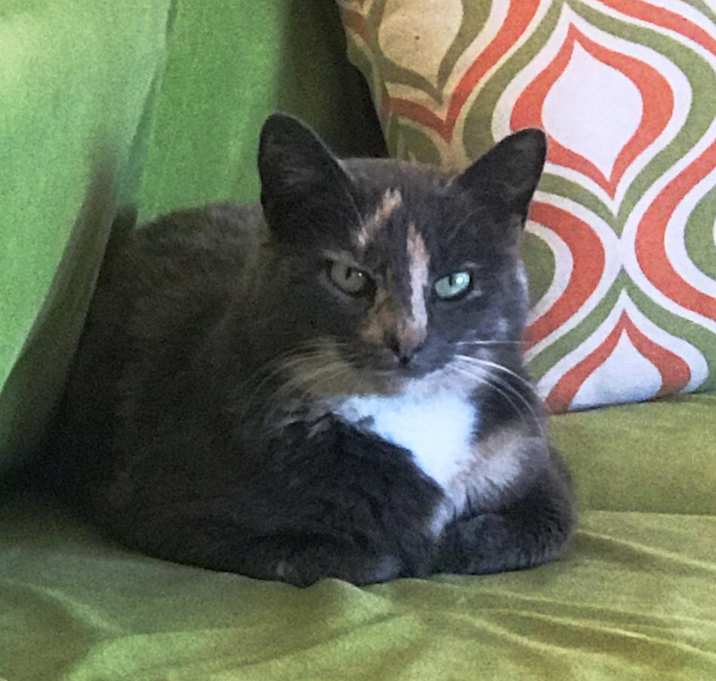 Photo of Stormy Weather