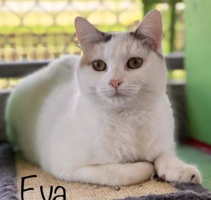 Photo of Eva