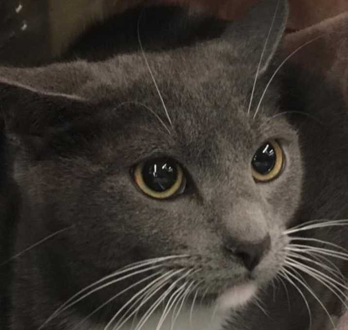 Photo of Hannah: courtesy post