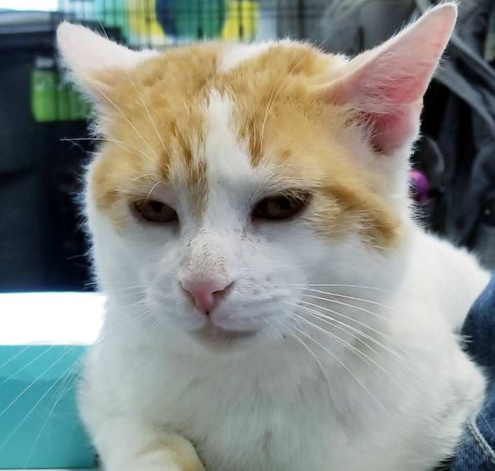 Photo of Mystery Mark