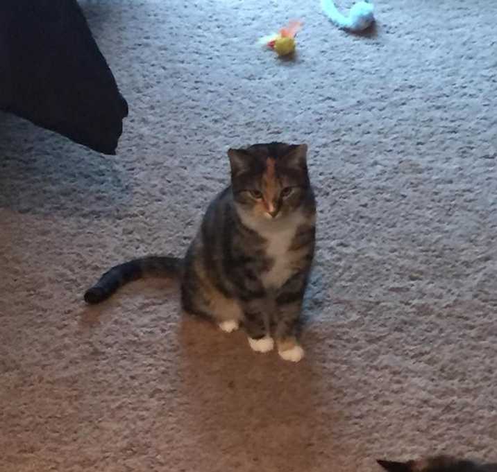 Photo of Little Girl