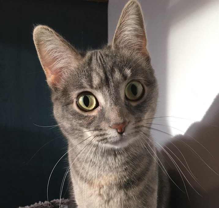 Photo of Grace and Dixie