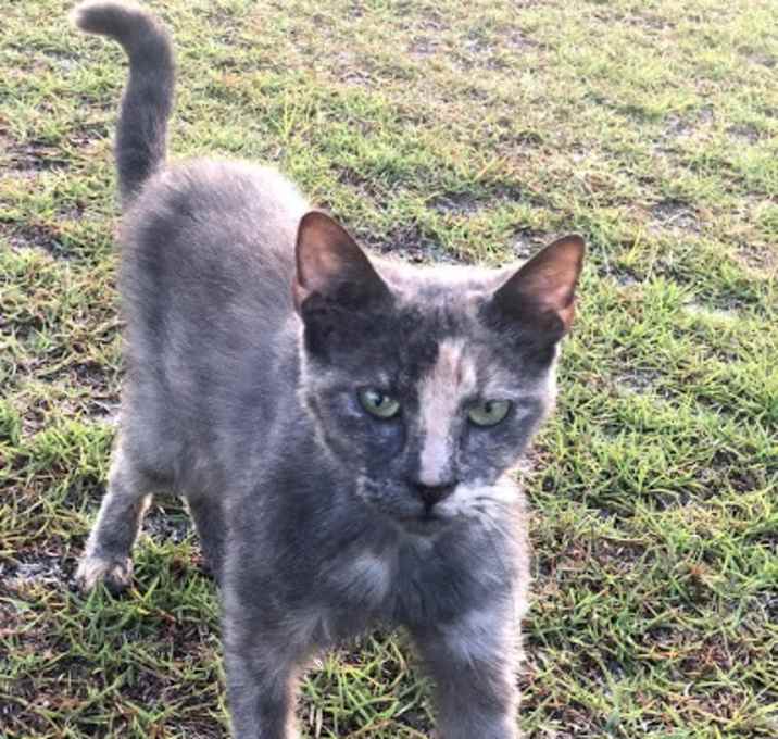 Photo of BUTTERZ-SCOTCH