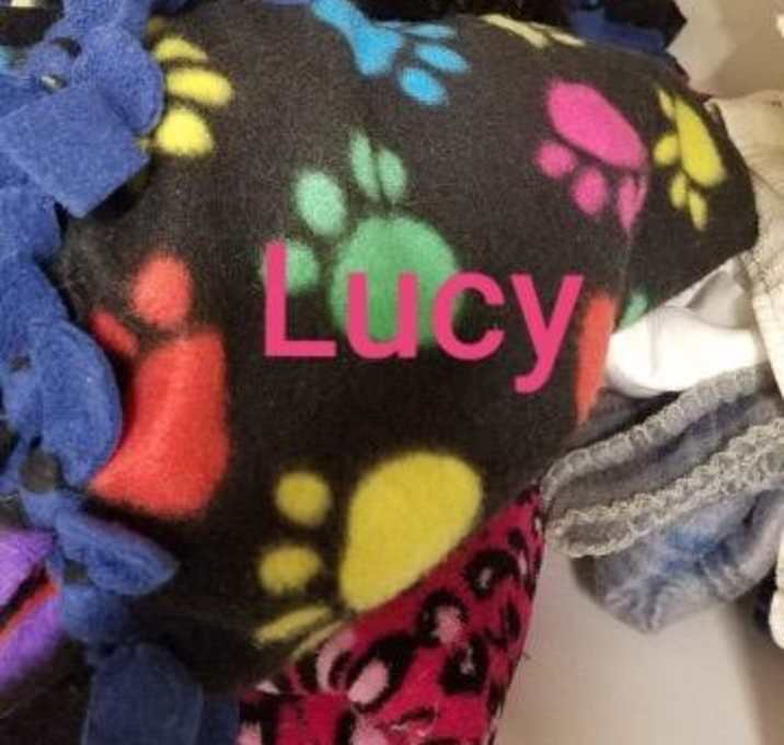 Photo of Lucy