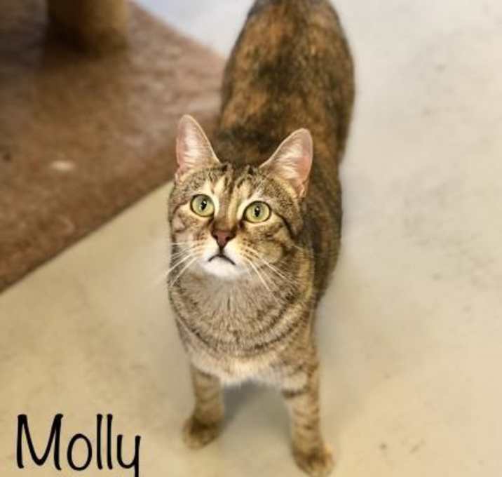 Photo of Molly