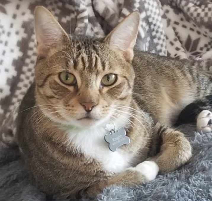 Photo of Caldwell, AKA 'Gus'