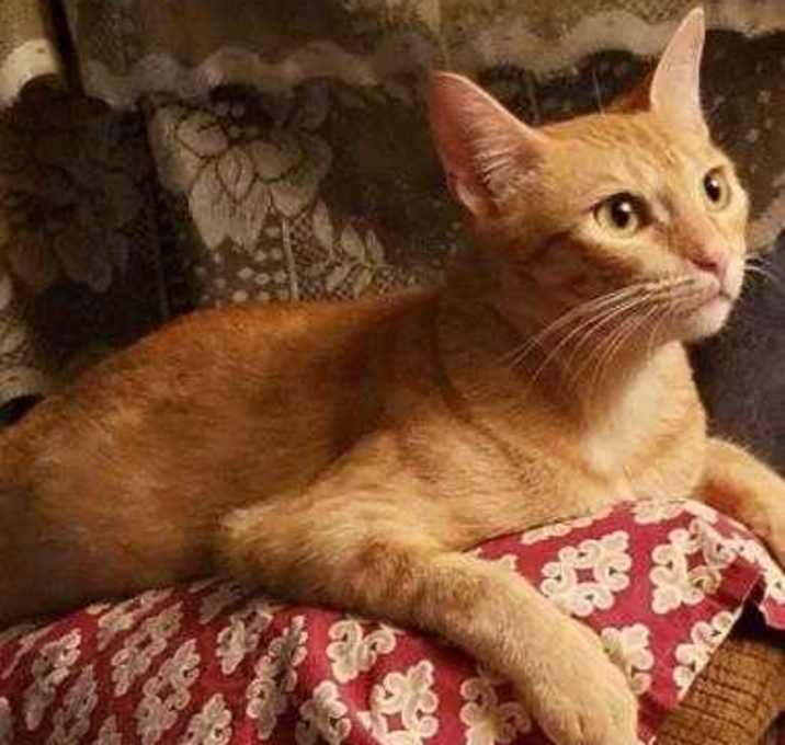 Photo of Sassy Pants