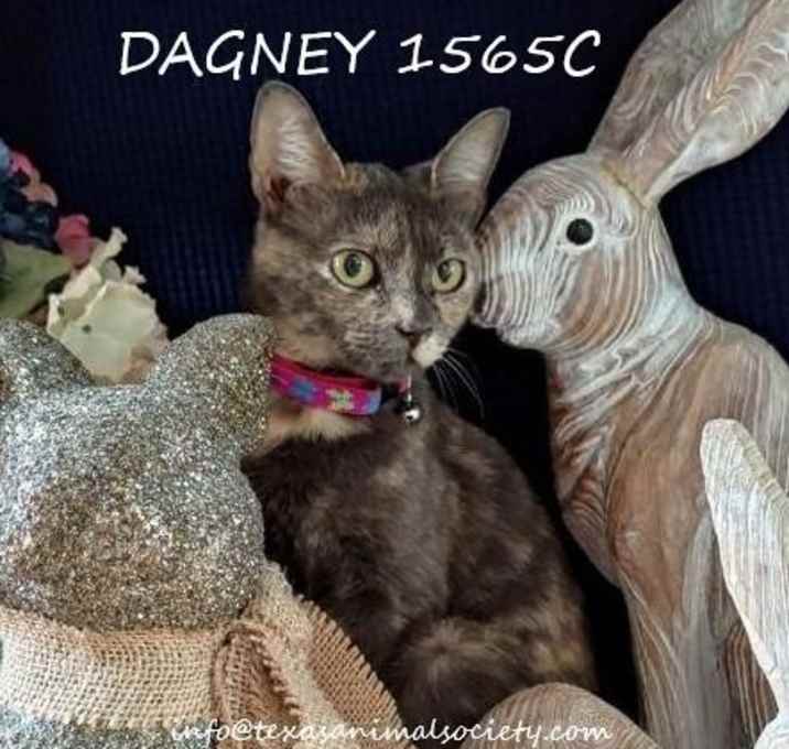 Photo of Dagney